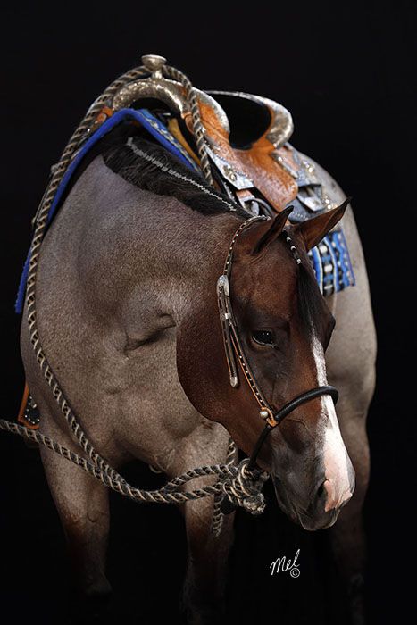 Polished Diva